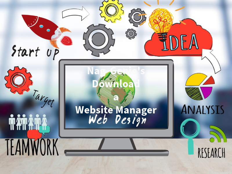 Download a Website Manager