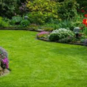 Professional Landscaping Services